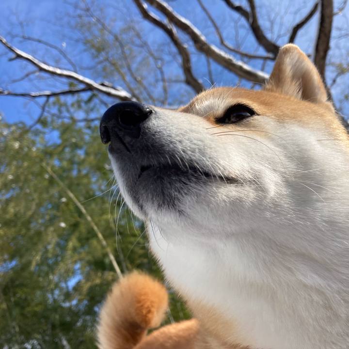 3dd15e06 ed26 4ec4 9be8 1735fa476f7a 1645095985309