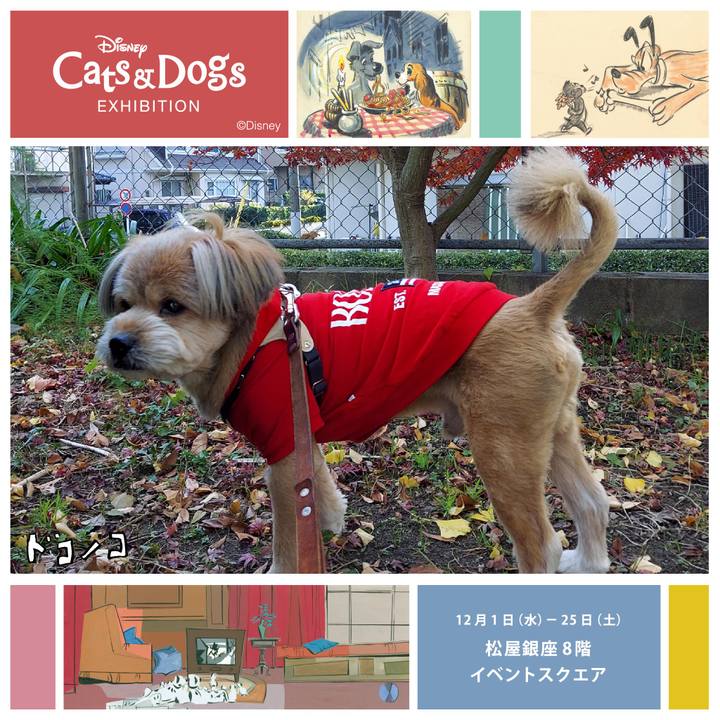 3dd173e8 4b1f 4273 a7a8 31f7ecaf5217 1638353529208