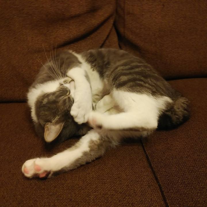 3dd19ec0 d1ba 4260 9d0c 755c40f05b6d 1588865083710