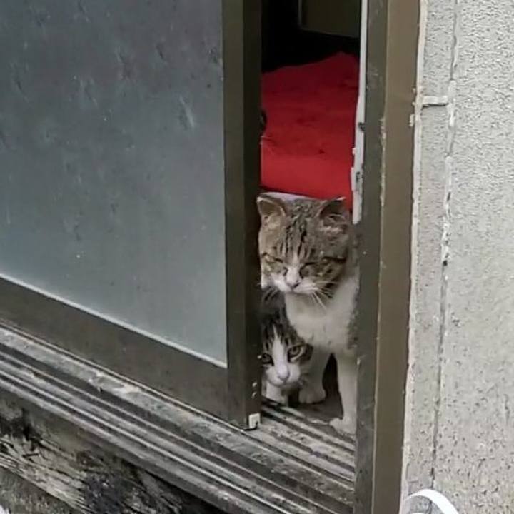 3dd1a57a 7929 4216 932a 64242e64590a 1717556871330