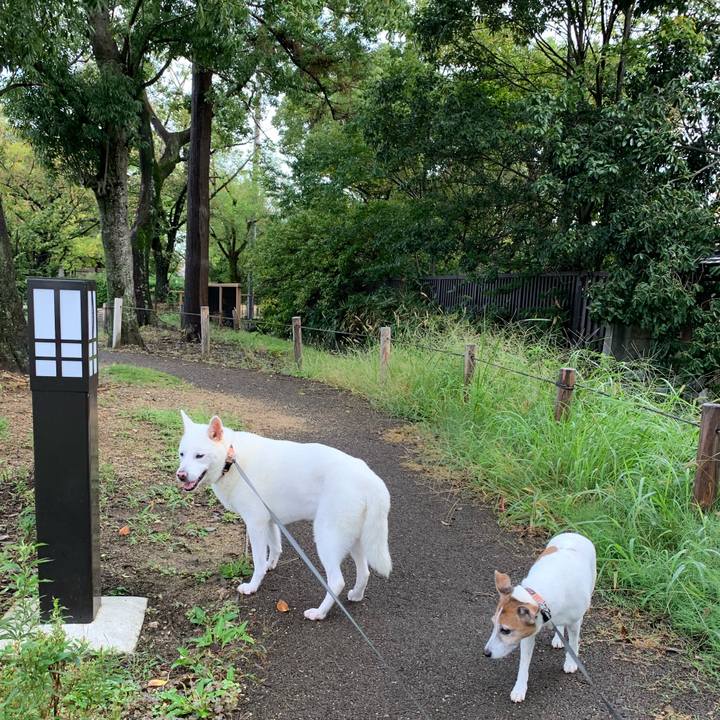 3dd1bb21 aec5 47ec 8e4a 4421d7e90fef 1571531119777