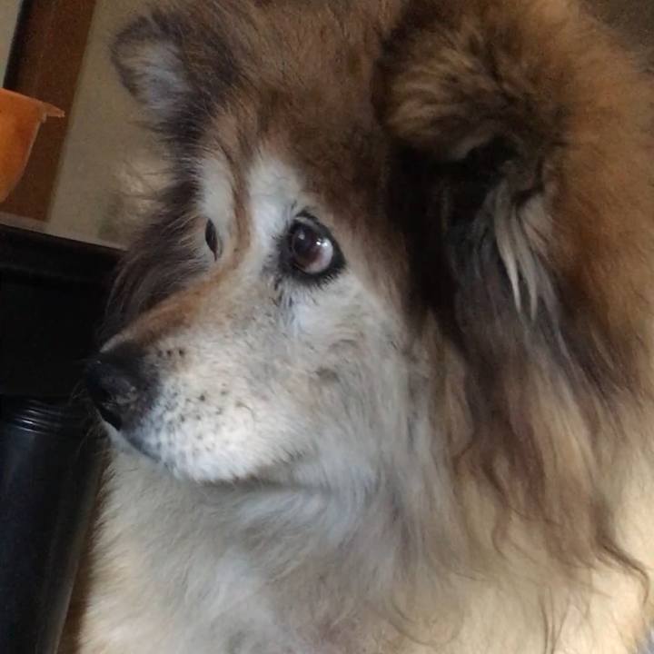 3dd1de55 125e 4b06 8486 717188c4a15b 1551482322500