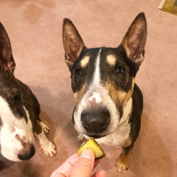 3dd1f181 0084 4a84 8417 940d5962a226 1527593658514