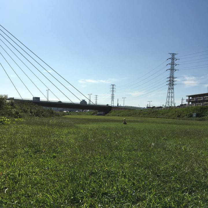 3dd20679 3623 4210 b11a 176b393efd5b 1601432860473