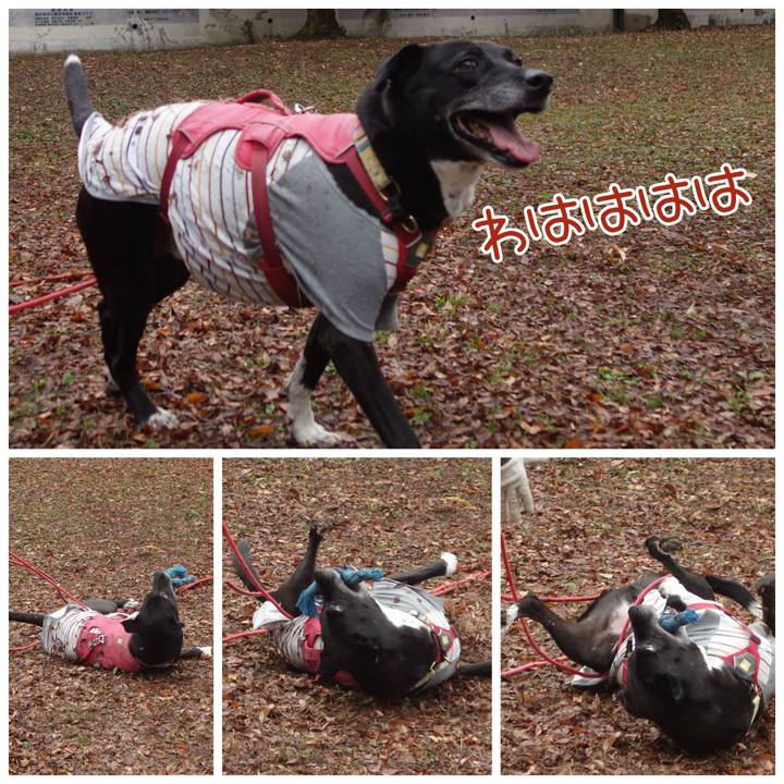 3dd23851 7035 48d7 9896 1b2dfdaca14b 1701737029060