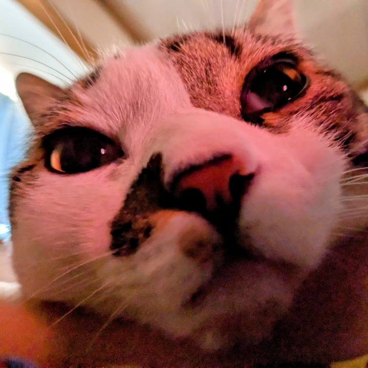 3dd292c1 bc40 443d 9781 1ccd839212ec 1679109840273