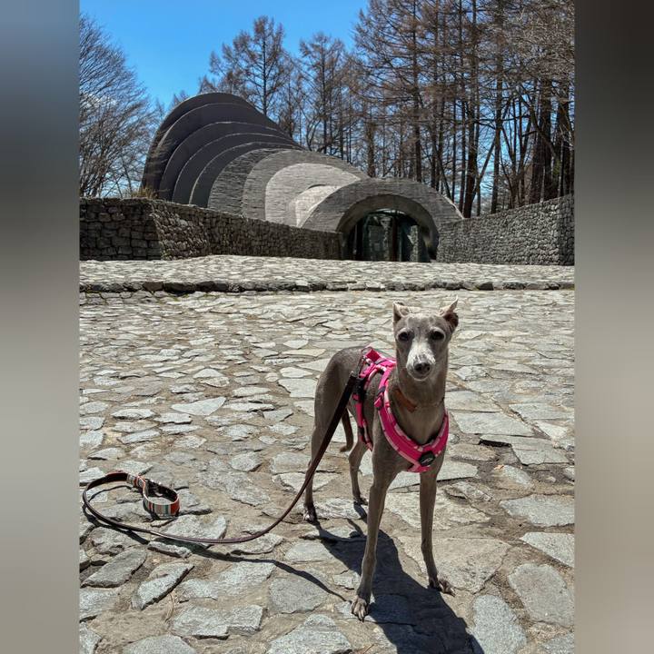 3dd29f19 47a4 42e0 9d08 1852be89abaf 1776854181590