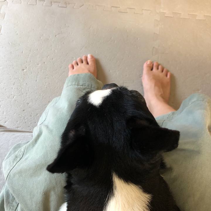 3dd2a9ae 944c 44c8 be4d 732367871ba5 1692857469664