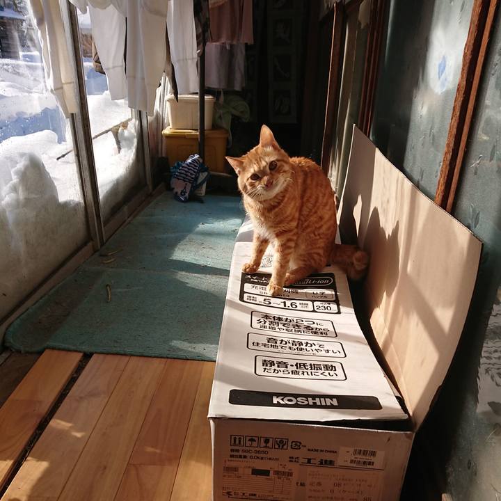 3dd2c41f 0b87 4192 b205 caf621726133 1641099674670