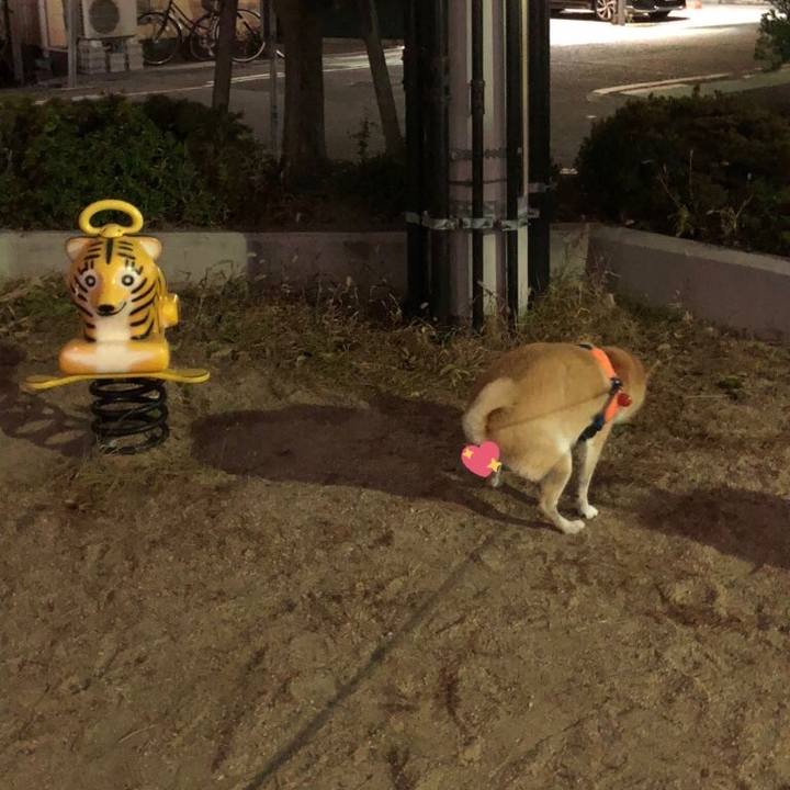 3dd2ff84 7004 4c73 8c83 b4fde779389f 1574863698828