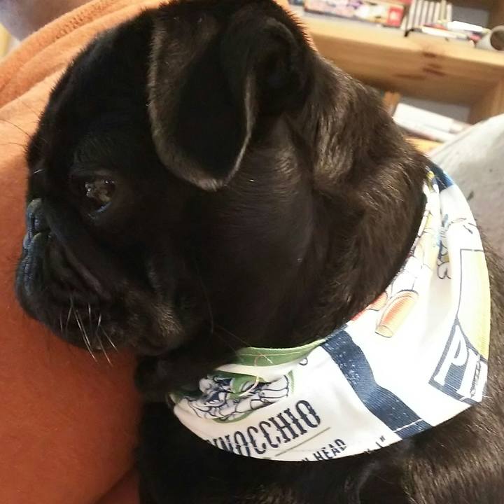 3dd323ad 4119 4fd5 ab7f 799c0ec5793a 1542515299423