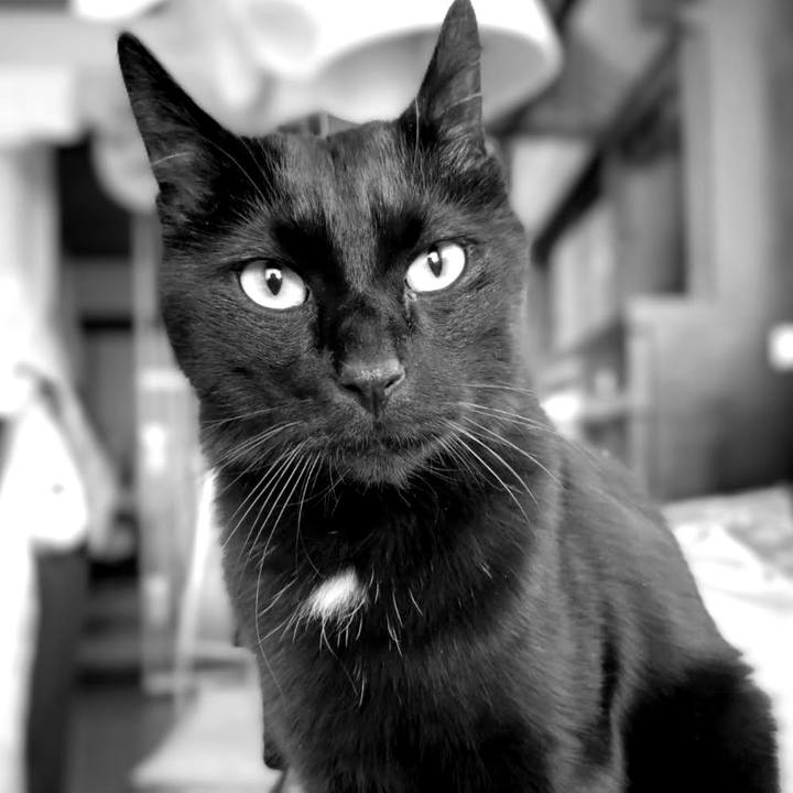 3dd3598e 5a5f 4a6f a714 f1d45a3218b5 1754664324694