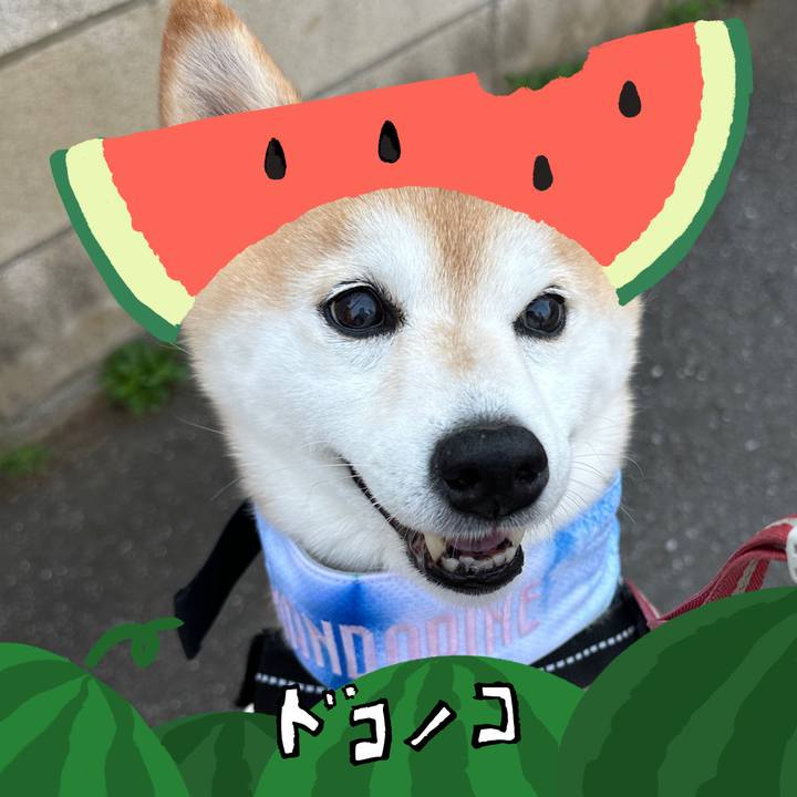 3dd37e00 b4f8 4606 93e5 487e12438bdd 1720884500173