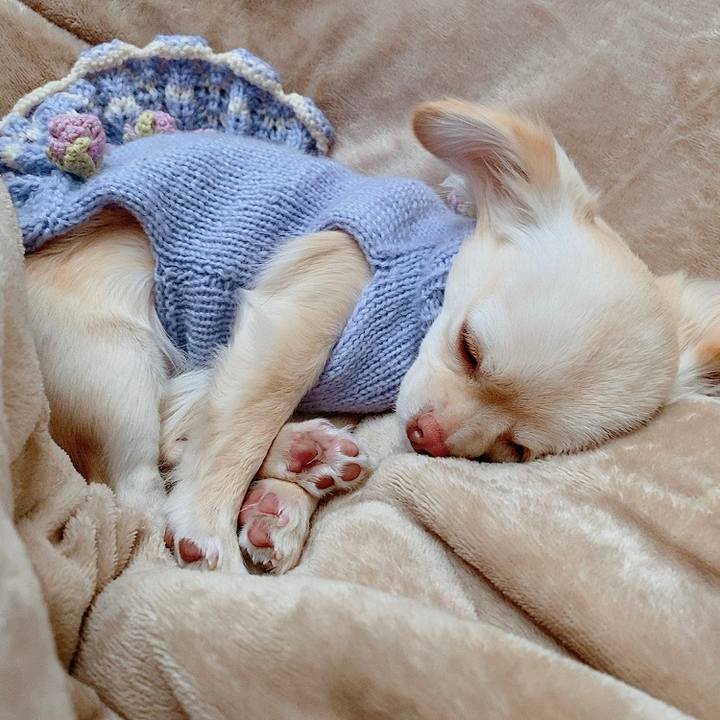 3dd3a104 54e9 493c a05e a4024426032c 1612500346921