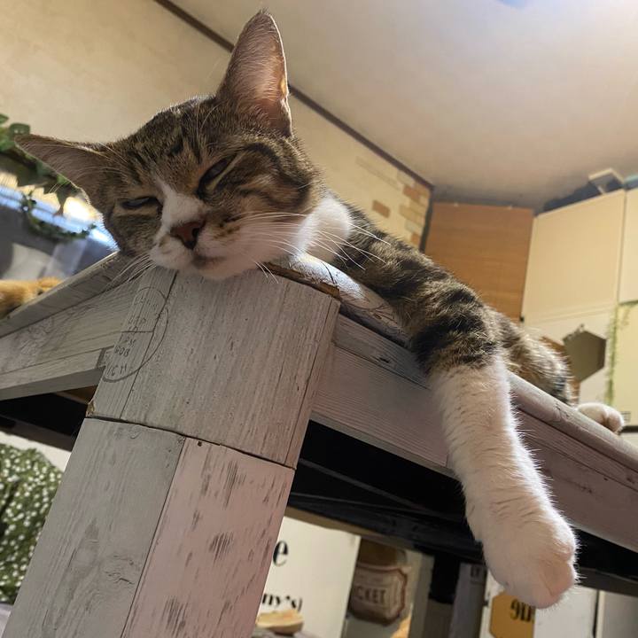 3dd3cefa 8fec 43fd b1d9 605e64672ba6 1628800874670