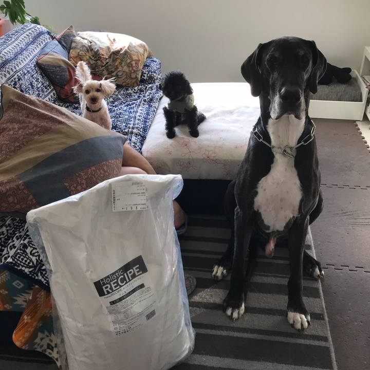 3dd3cf25 6d09 41da a10e 271942a4bbb3 1522190253249