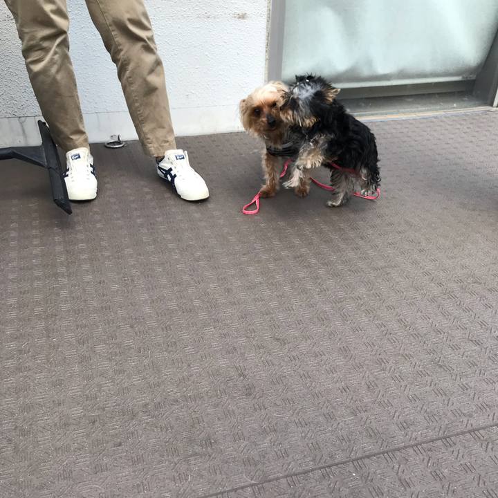 3dd3eaf1 888a 4264 8ed6 b6ca0c346f06 1617423731049