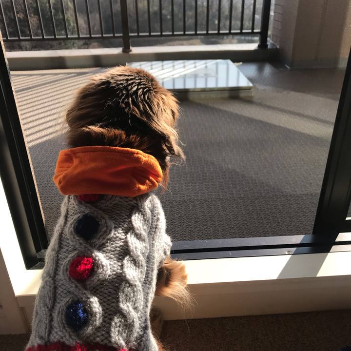 3dd3ecf1 d7cd 4260 8a50 dedd6b0477ea 1578460463636