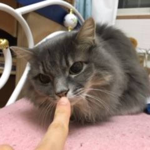 3dd3f038 9f2a 49b0 a617 920545e76d64 1574514468297