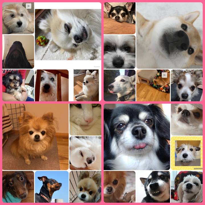 3dd40791 0f27 47f6 9005 a424ca2f7079 1676758646933