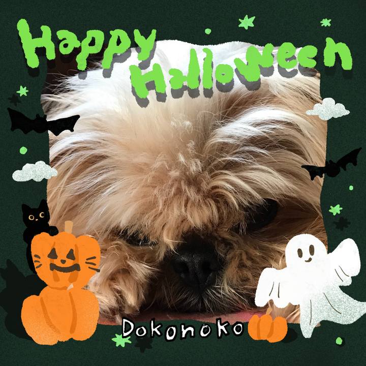 3dd40905 44e2 4077 a402 c527a4be9bdd 1729072007553