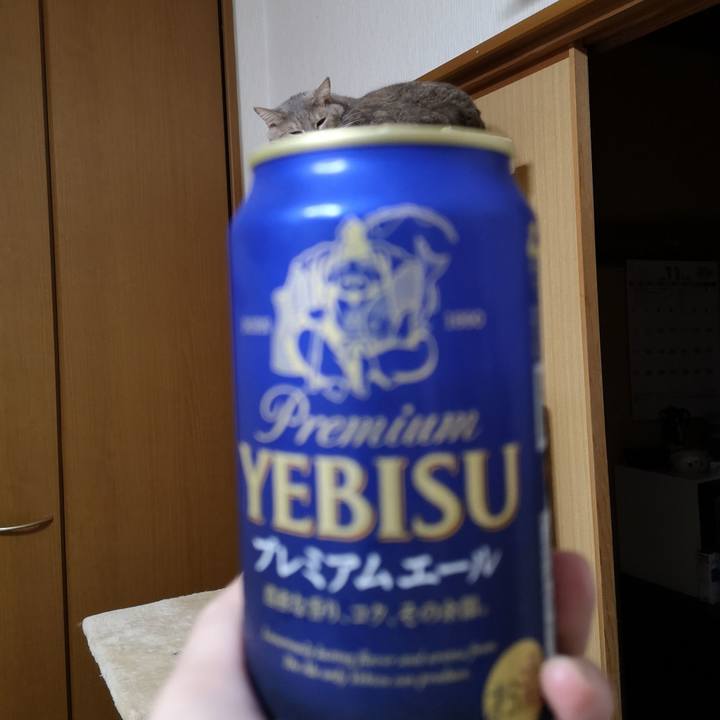 3dd41d9c 0b29 41d0 9a11 70bb403e6316 1572616432857