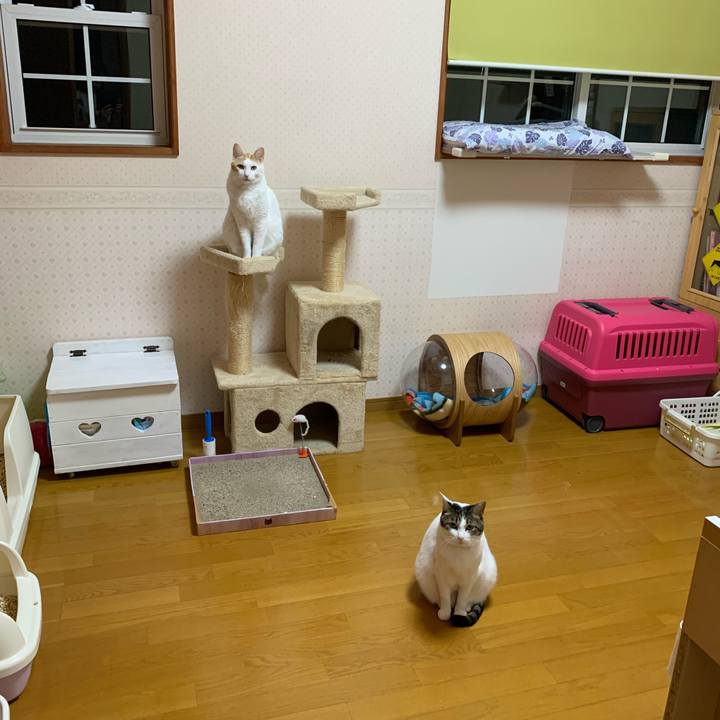 3dd48341 ec65 40c1 a4b2 4c352ba54d90 1635195768901