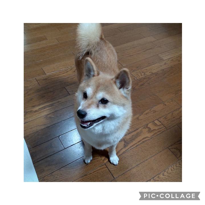 3dd4a55e 93d4 4f6a b480 dd2a712fc933 1757675015868