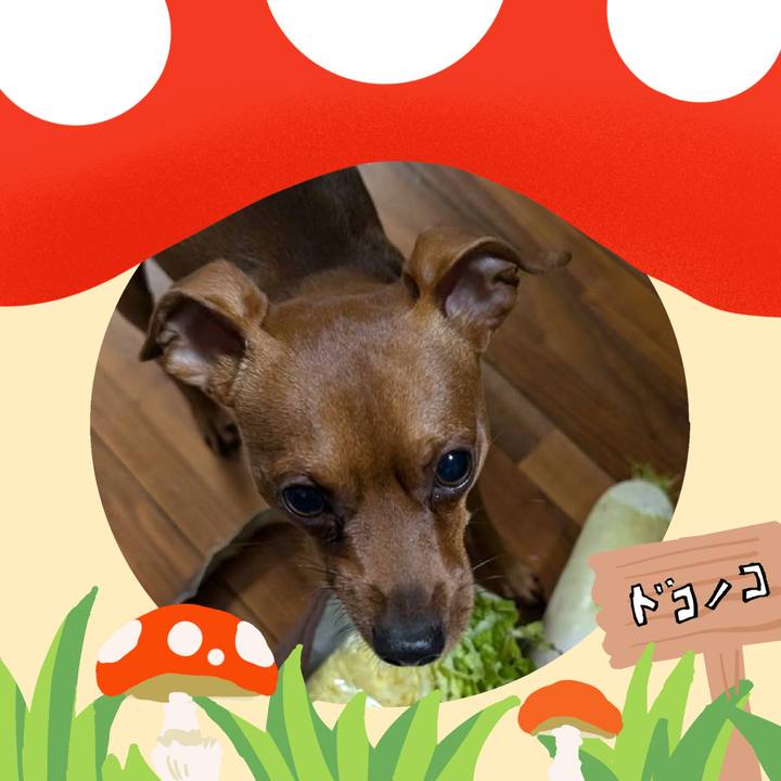 3dd4feb6 d132 4e02 8fc1 54bd06fc6830 1730525339362