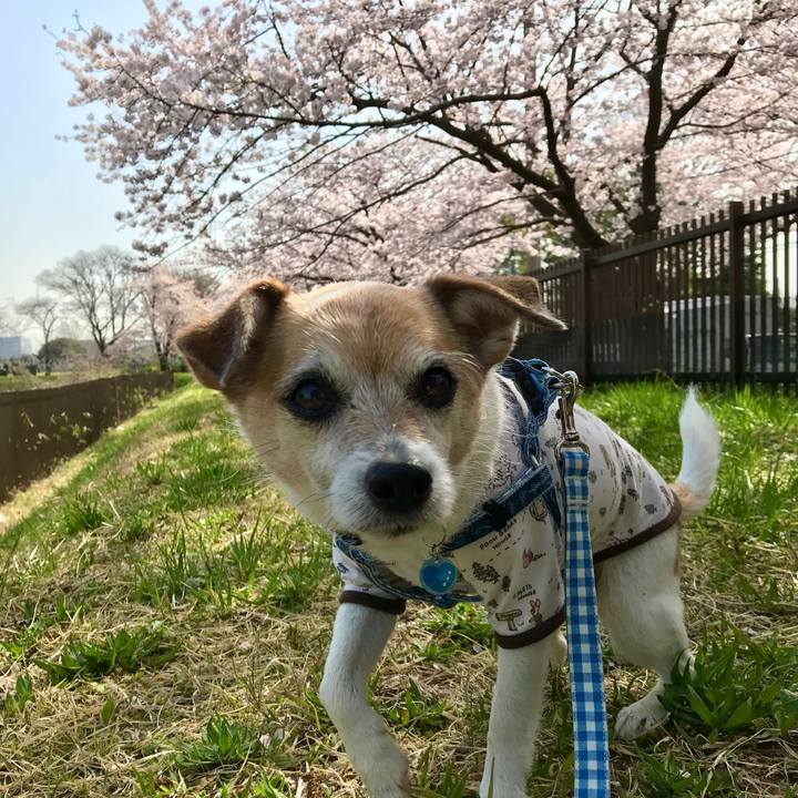 3dd50949 d114 4470 964d a7dfeaa45520 1648696903958