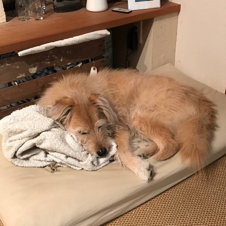 3dd5248d 3c21 499e b7d1 d0ef76fb27f1 1550714420660