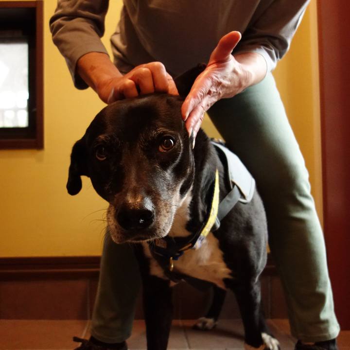 3dd527e8 8d86 456e a751 d00a4ac9df8a 1745109857324