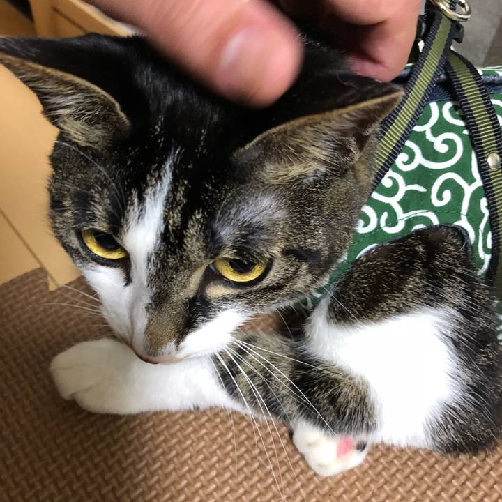 3dd530ef e361 4a7c 893e 110607425a43 1526590681409