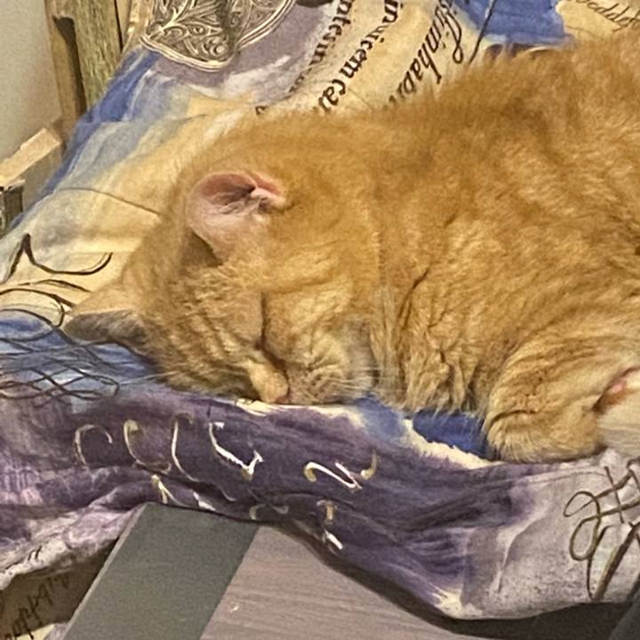 3dd54ca7 4ce0 4abe 98a9 81bfbe3e5239 1654017960386