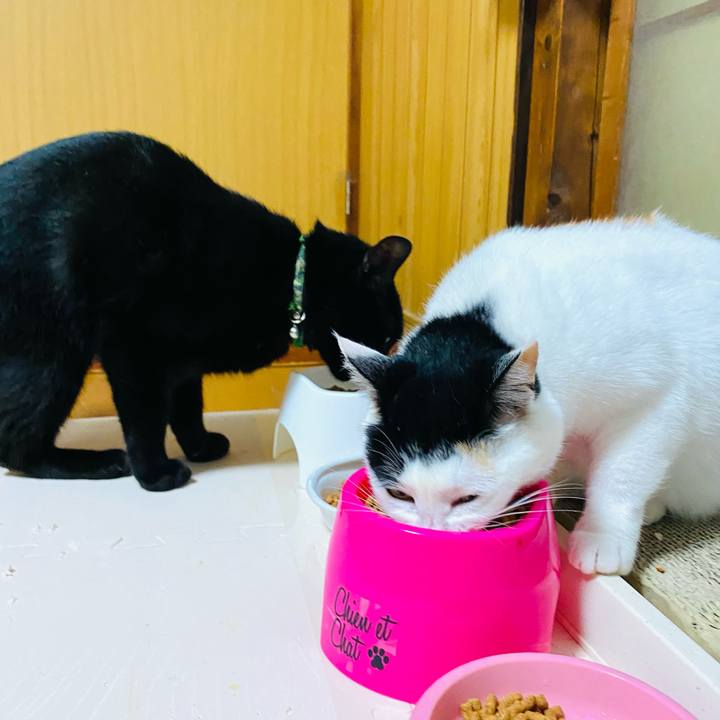 3dd55f1b 1a59 4d1d 9dd0 b6049212fb19 1688464693755