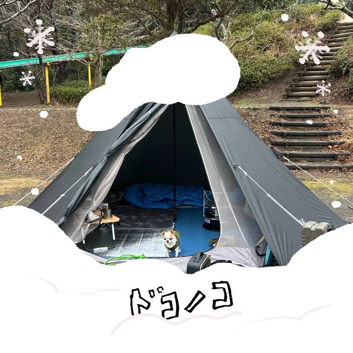 3dd5bcf9 402c 4ed2 ab41 7952609be406 1771822049304