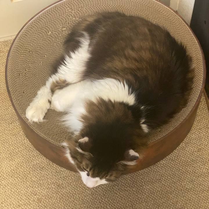 3dd5e8f9 9878 4163 b5e3 9fb92e982789 1733529162382