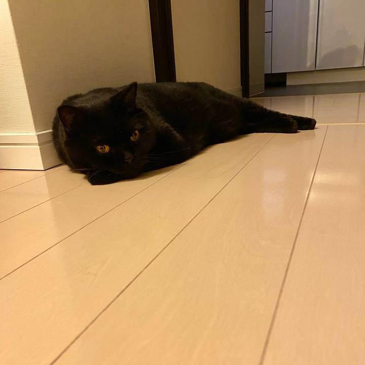 3dd61d59 d078 47db 81bd 765c2c1bb5b9 1692800144288