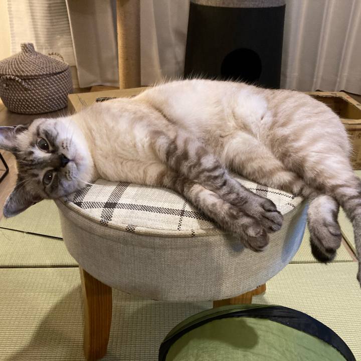 3dd64572 e764 4105 8f12 6d3487361d81 1625747863700