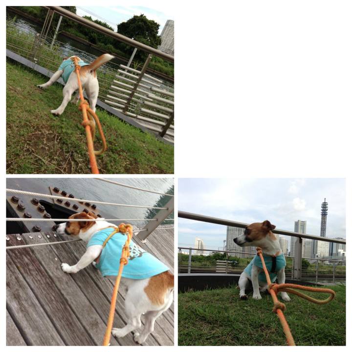 3dd65d8a 8ad4 4a4f 946f eea4a4947c9a 1656396475960