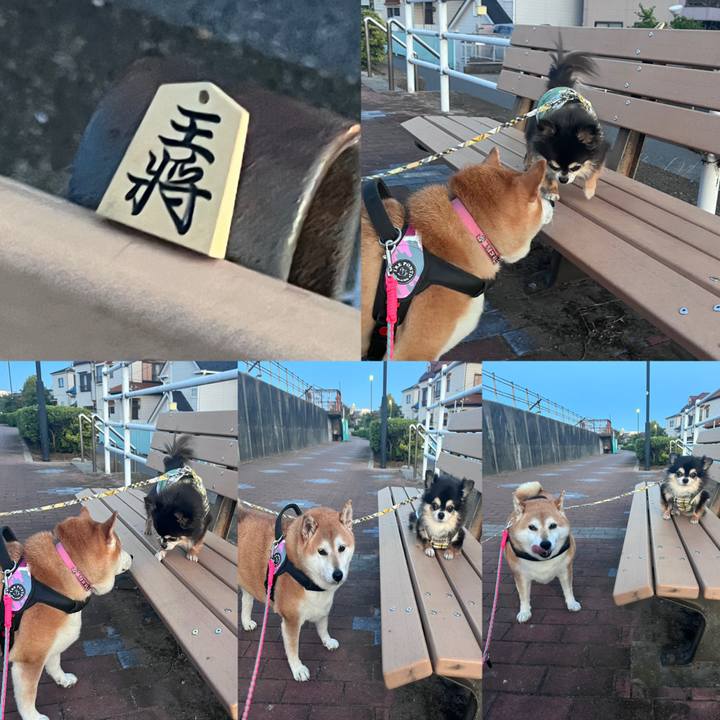 3dd6a8dd 00bf 444f 80ae b2785713189b 1697188444324