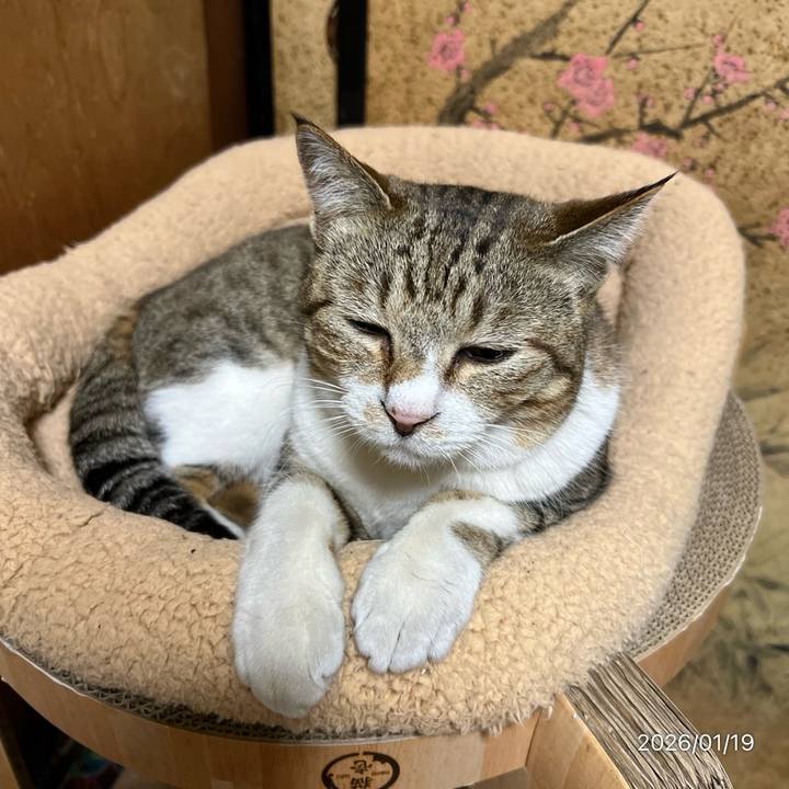 3dd6bec9 4252 44bf 803d 989cf1c7905c 1768773766410