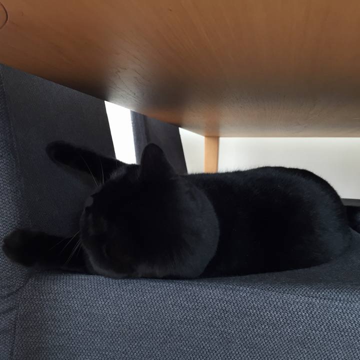 3dd6bfd2 e9ed 484c 81d7 40728ead5186 1586050976994