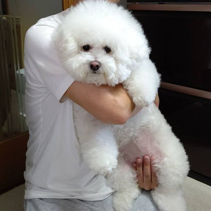 3dd7647e 4cd5 4603 80db 6a014decfc1b 1653968820762