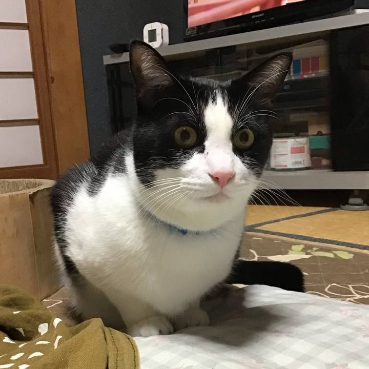 3dd79cfb da9b 4256 81a0 cd4d04caf118 1733650879616