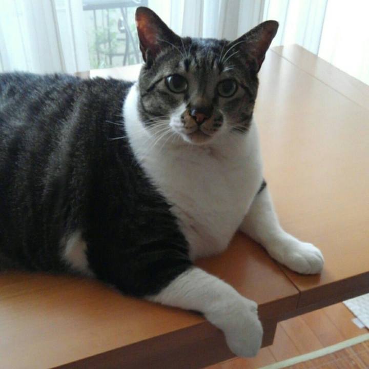 3dd7a89b f53b 4fbd b5e0 6112b13b7e3f 1521638563557