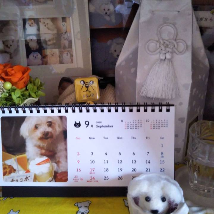 3dd83669 c8d0 4f0b af35 faa3614d3251 1535784022558