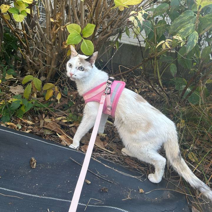 3dd840e0 a1b7 441a 8329 7ec1e7fa66d0 1767238723306