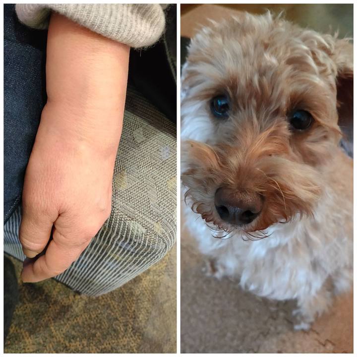 3dd85955 e88f 4d9a 8f17 dc94e5c335f8 1584236794395