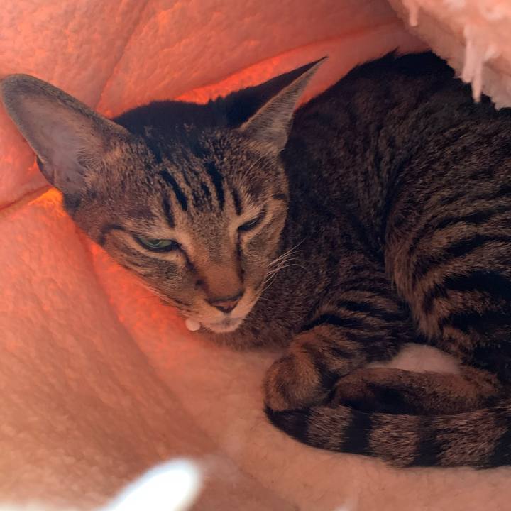 3dd8abd0 7acf 4d38 b3c5 d97dfd658303 1602898547709